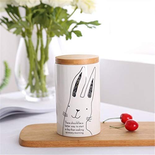 Food Storage Jar, Ceramic Kitchen Canisters with Airtight Seal Bamboo Lid, Food Storage Canister for Tea, Coffee Bean, Spice, Sugar, 560ml (3)