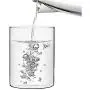 YTF-Glas Kimchi-Behälter, transparenter Lagerbehälter mit Deckel, für getrocknete Honigfrüchte und Nudeln