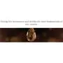 Sulwhasoo Essential Firming Cream EX Sulwhasoo Essential Firming Cream EX