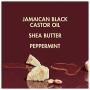 SheaMoisture Strengthen and Restore Rinse Out Hair Conditioner to Intensely Smooth and Nourish Hair 100% Pure Jamaican Black Castor Oil with Shea Butter, Peppermint and Apple Cider Vinegar 13 oz