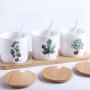 Porcelain Canisters，Set of 3 Spice Jar with Airtight Bamboo Lid,Kitchen Seasoning Jar (Plant 01)