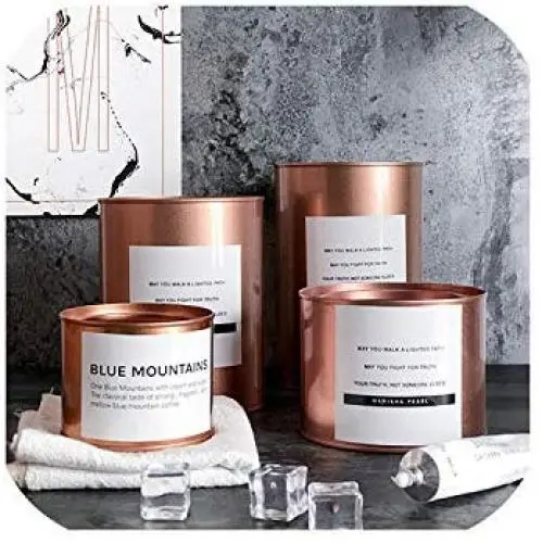 Eisen Rose Gold Nordic Lagerbehälter Pflanzgefäß Lebensmittel Aromatherapie Schmuck Aufbewahrungsglas Haushaltsorganizer Dekoration, Rose Gold