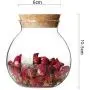 Glas Favorbehälter 500 ml / 17 oz mit Korkappen, transparente runde Glasbehälter für Lebensmittel, Gewürze, Snacks, Nüsse, Tee, Süßigkeiten, wiederbefüllbar, wiederverwendbar, große Kapazität, ideal für die Küche