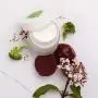 Skinfood Restore Night Cream; Manuka Honey and Vitamin Rich Vegetable Extracts to Refresh and Nourish Skin Overnight Skinfood Restore Night Cream; Manuka Honey and Vitamin Rich Vegetable Extracts to Refresh and Nourish Skin Overnight