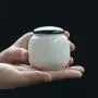 Boîte de rangement solide miniature pour thé, épices, aliments, bouteilles étanches, conserve en céramique, coffre de rangement pour sucre, wu xiang Boîte de rangement solide miniature pour thé, épices, aliments, bouteilles étanches, conserve en céramique, coffre de rangement pour sucre, wu xiang