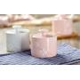 Mini Spice Jars Combination Creative Seasoning Jar Japanese Set Ceramic Household Three-piece Set