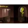 Kitchen Canister Set With Airtight Lid and Green Bud Spoon for Food Storage, Store Coffee, Sugar, Tea, Spices, Dry Food and More Kitchen Canister Set With Airtight Lid and Green Bud Spoon for Food Storage, Store Coffee, Sugar, Tea, Spices, Dry Food and More