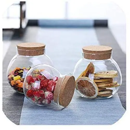 Bouteilles en Verre Scellées en Borosilicate Résistantes à la Chaleur, Récipients Transparents pour Stockage de Fleurs, Thé, Fruits Séchés, Noix, 2 x 500ml
