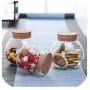 Bouteilles en Verre Scellées en Borosilicate Résistantes à la Chaleur, Récipients Transparents pour Stockage de Fleurs, Thé, Fruits Séchés, Noix, 2 x 500ml