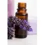 Bates Family Farm Body Budder (Lavender) 4 oz Jar Bates Family Farm Body Budder (Lavender) 4 oz Jar