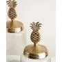 Bouteilles en verre pour Pièces à Maintenir - Set de 3, Canisters en Verre avec Couvercle en Métal Ananas, Ensembles de Vaisselle de Cuisine pour la Maison, Récipients de Stockage pour Café, Sucre, Thé, Épices, Céréales Bouteilles en verre pour Pièces à Maintenir - Set de 3, Canisters en Verre avec Couvercle en Métal Ananas, Ensembles de Vaisselle de Cuisine pour la Maison, Récipients de Stockage pour Café, Sucre, Thé, Épices, Céréales