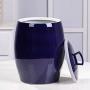 Food Jars & Crocks Rice Storage Bucket Household Ceramic Rice Cylinder Kitchen Moisture-proof And Insect-proof Rice Storage Box Gift (Color : Blue, Size : 25x33cm)