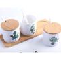 Porcelain Canisters，Set of 3 Spice Jar with Airtight Bamboo Lid,Kitchen Seasoning Jar (Plant 01)
