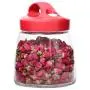 Bouteilles en verre avec anse pour smoothies, bocaux en verre avec couvercle pour boissons et stockage, récipient réutilisable pour jus, lait, aliments secs, café, thé, snack (Capacité : 1000ml) Bouteilles en verre avec anse pour smoothies, bocaux en verre avec couvercle pour boissons et stockage, récipient réutilisable pour jus, lait, aliments secs, café, thé, snack (Capacité : 1000ml)