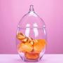 Glass Jar with Lid Transparent Grain Miscellaneous Grains Kitchen Storage Bottle Crystal Candy Jar Decoration Grain Storage Tank,21x41cm