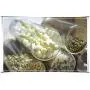 Bouteilles de Rangement en Verre pour Cuisine, Pots Scellés avec Couvercle, Grande Capacité - Idéales pour Candies, Thé, etc. (3,450 ml) Bouteilles de Rangement en Verre pour Cuisine, Pots Scellés avec Couvercle, Grande Capacité - Idéales pour Candies, Thé, etc. (3,450 ml)