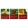 ROREC Foot Care Herbal Massage Scrub-Exfoliating Cream Cleansing Delicate Feet Skin Shea Oil Natural Extracts180g