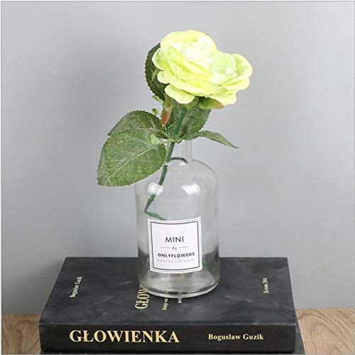 Glass Kitchen Storage Containers - Scandinavian Minimalist Chic Glass Storage Jars Modern Elegance Desk Storage Bottle Organizer Superior Gray Flower Container