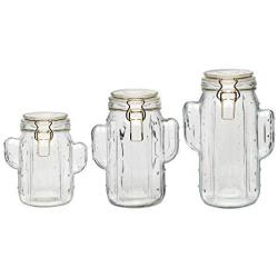 Amici Home Saguaro Glass Hermetic Jar Set, Figural Clear Textured Dry Food Storage Canisters with Hermetic Preserving Lid, Assorted Set of 3