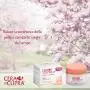 Cera di Cupra Plus ''Rosa per Pelli Secche'' Cream for Dry Skin, Anti-age Formula - 3.4 Fluid Ounces (100ml) Jar [ Italian Import ]