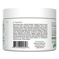 Aloe Infusion Body and Face Moisturizer - All Natural Eczema Cream for Itchy Dry Skin, Sensitive Skin, Acne and Psoriasis - Organic Aloe Vera, Shea Butter, Coenzyme Q10, Grape Seed Oil, Kukui Nut Oil