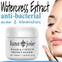 Sage and Citrus Moisturizer 2 oz Natural Face Cream Oil Free Skin Types Normal, Oily, Combination, Acne Prone Anti-Wrinkle Tighten Lift