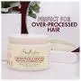 SheaMoisture Jamaika Schwarzkastanienöl Spülung für stark verarbeittes, beschädigtes Haar 100 % reines Jamaika Schwarzkastanienöl zur Weichspülung und Entwirrung – 286 ml / 11 oz