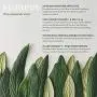 [Forest Heal] Anti-Aging Retinol Feuchtigkeitscreme für Gesicht und Trockene Haut, Anti-Falten-Hydratisierung mit Vitamin C (100 ml / 3,38 fl.oz.)