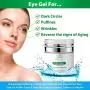 Eye Gel Cream Anti Wrinkle - Total Repair Eye Gel - Eye Depuffing Gel - Eye Gel Night Time & Day Time - Anti Wrinkle Eye Cream for Women - Eye Gel for Puffiness, Wrinkles, Dark Circles - 1.7oz / 50 ml