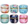 Ibnotuiy 6PCS Tinplate Mini Tea Coffee Storage Tins Creative Portable Food Storage Container for Tea Candy (Random Color)