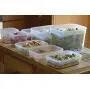 Lasting Freshness Vacuum Seal Food Storage Containers - Deep Freezer Food Sealer - Hand Held Vacuum Food System - Quick Seal Marinator - Rectangle - 19Pc - Green Color Lasting Freshness Vacuum Seal Food Storage Containers - Deep Freezer Food Sealer - Hand Held Vacuum Food System - Quick Seal Marinator - Rectangle - 19Pc - Green Color