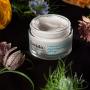 Lavido - Natural Age Away Night Cream (1.69 fl oz | 50 ml) | Clean, Non-Toxic Skincare