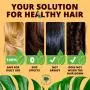 Papaya & Pineapple Hair Conditioning Mask | All-Natural Serum for Hair Growth, Dandruff Prevention, Dry & Damaged Hair Repair | Moisturizing, Thickening & Strengthening Deep Treatment Hair Conditioner Papaya & Pineapple Hair Conditioning Mask | All-Natural Serum for Hair Growth, Dandruff Prevention, Dry & Damaged Hair Repair | Moisturizing, Thickening & Strengthening Deep Treatment Hair Conditioner