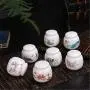 Bouteille de Thé en Céramique Miniature, Petit Cornet de Thé Portable, Boîte de Rangement pour Thé, Boîte Cadeau Exquise, Canettes en Céramique, Rangement de Cuisine.