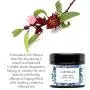 Laritelle Organic Facial Moisturizer, Rejuvenating, Nourishing, Vitamins and Antioxidants-rich Day/Night Cream for Cellular Rejuvenation, Collagen Support & Diminishing Visible Signs of Aging, 0.5 oz Laritelle Organic Facial Moisturizer, Rejuvenating, Nourishing, Vitamins and Antioxidants-rich Day/Night Cream for Cellular Rejuvenation, Collagen Support & Diminishing Visible Signs of Aging, 0.5 oz