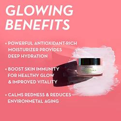 Sonage High Endurance Creme, Antioxidant Face Moisturizer Night Cream, 50 ml