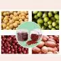 Bouteilles de rangement avec couvercles, 10 paquets de pots blancs pour thé, café et sucre, contenants de rangement pour cuisine, pots en plastique, ensembles de rangement pour cuisine, herbes, sucre ou fabrication de slime. Bouteilles de rangement avec couvercles, 10 paquets de pots blancs pour thé, café et sucre, contenants de rangement pour cuisine, pots en plastique, ensembles de rangement pour cuisine, herbes, sucre ou fabrication de slime.