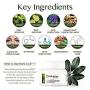 [Forest Heal] Anti Aging Retinol Moisture Cream for Face and Dry Skin, Anti-Wrinkle Hydration with Vitamin C (100 ml/ 3.38 fl.oz.)