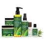Desert Essence Tea Tree Skin Ointment - 1 Fl Oz - Jojoba & Lavendel Öle - Vitamin E - Mandelöl Extrakt – Feuchtigkeitscreme für trockene Haut, Hautreizungen, Nagelhaut