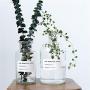 Minimalist Chic Glass Storage Jars Scandinavian Vogue Elegance Transparent Desk Storage Bottle Organizer Flower Container Decor Large Glass Storage Containers With Lids