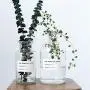 Minimalist Chic Glass Storage Jars Scandinavian Vogue Elegance Transparent Desk Storage Bottle Organizer Flower Container Decor Large Glass Storage Containers With Lids