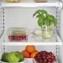 FoodSaver FAC3-000 B01AJJ1WPI Vacuum Sealed Fresh Container, 3 Cup, Clear