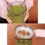 Glass Sealed Jars, Moisture-Proof Kitchen Food Containers, Storage Kimchi/Cereal/Oatmeal