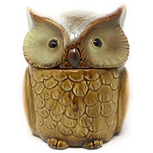 Natures Home Ceramic Owl Decorative Canister Storage Jar (Beige) Natures Home Ceramic Owl Decorative Canister Storage Jar (Beige)