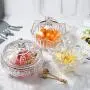 Pot Jar en Cristal Sans Plomb Yl Ly Avec Couvercle, Boîte de Rangement pour Bonbons, Sucettes, Cylindre de Sucre, Réservoir pour Fruits Secs avec Couvercle en Bambou Épais Pot Jar en Cristal Sans Plomb Yl Ly Avec Couvercle, Boîte de Rangement pour Bonbons, Sucettes, Cylindre de Sucre, Réservoir pour Fruits Secs avec Couvercle en Bambou Épais