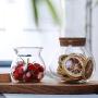 Sealed Glass Jars Borosilicate Heat Resistant Transparent Glass Storage Jars Flower Tea Dried Fruit Nuts Cans,500Ml 2Pcs
