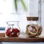 Bouteilles en Verre Scellées en Borosilicate Résistantes à la Chaleur, Récipients Transparents pour Stockage de Fleurs, Thé, Fruits Séchés, Noix, 2 x 500ml