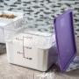 Carlisle 10724AF07 StorPlus Square Container, 11.13" Length, 11.13" Width, 8.25" Height, Polycarbonate, 12 Quart, Purple (Pack of 6)