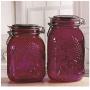 Circleware Violet Orchard 2 Piece Embossed Glass Preserving Jars Food Canister Set with Hermetic Locking Lid, 53 oz, 64 oz. (7.5", 8.5")