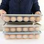 Covered Eggs Holder - Refrigerator Storage Container, 24 Egg Tray (Blue)